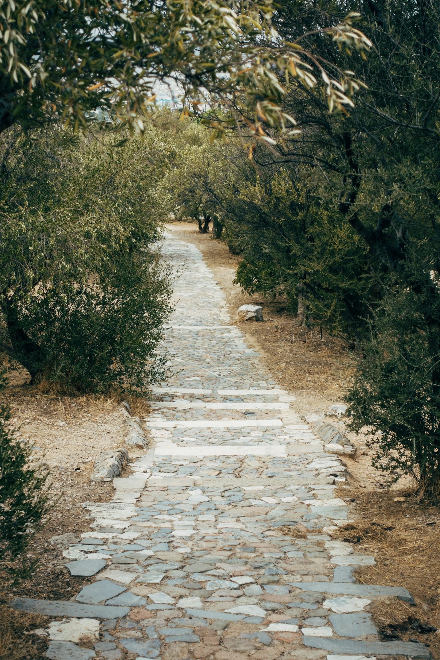 5 Essential Tips to Plan Your Walking Journey