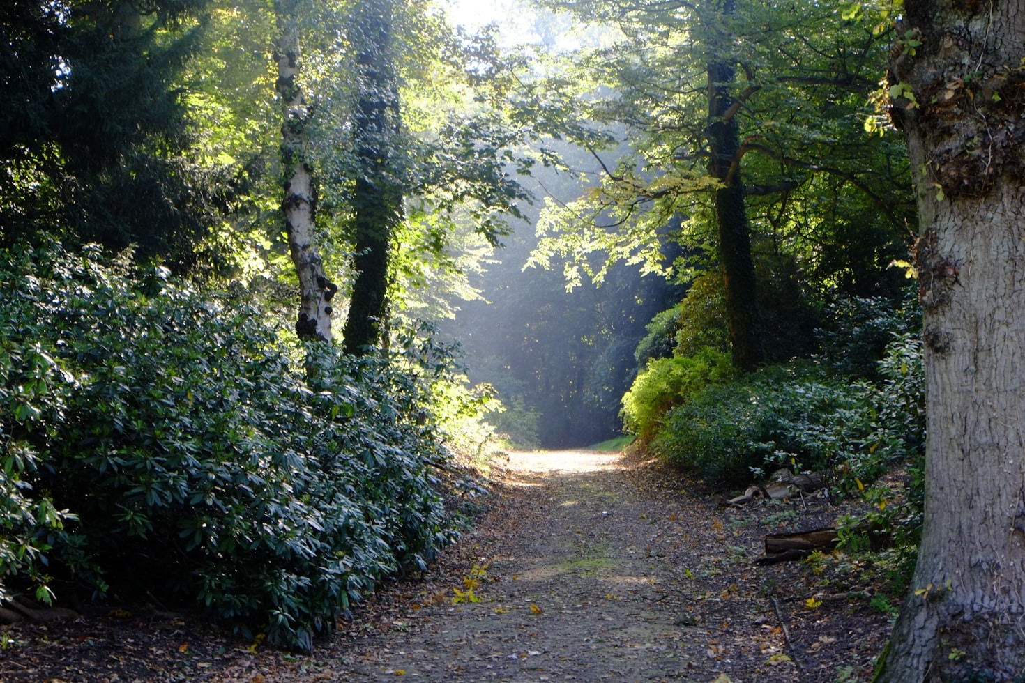 Exploring the World One Trail at a Time