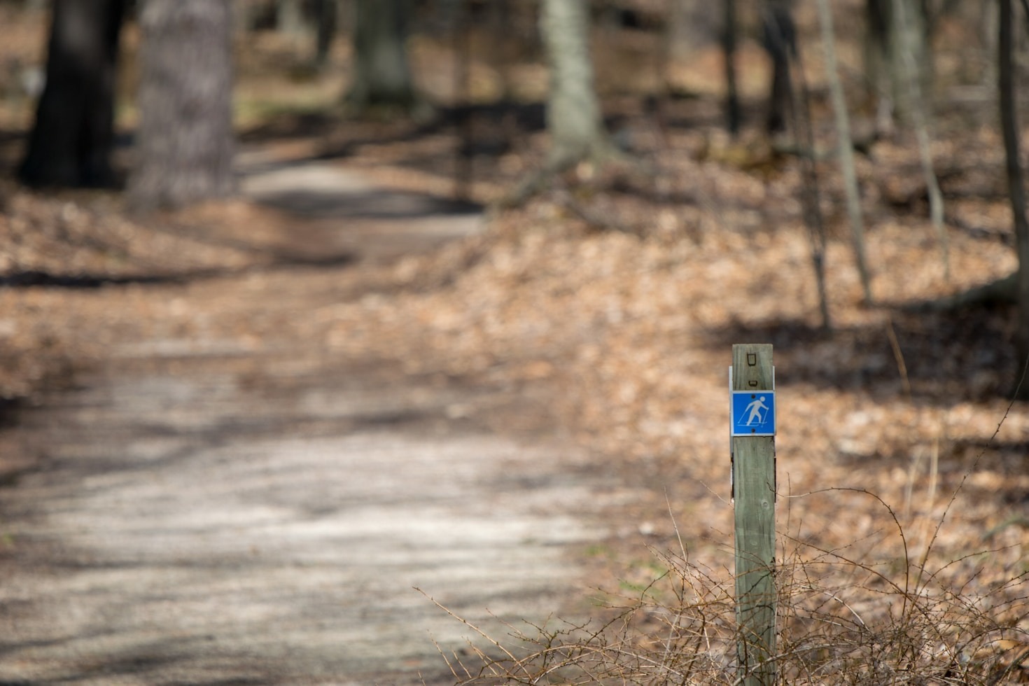 Top Walking Routes to Discover with InCammino